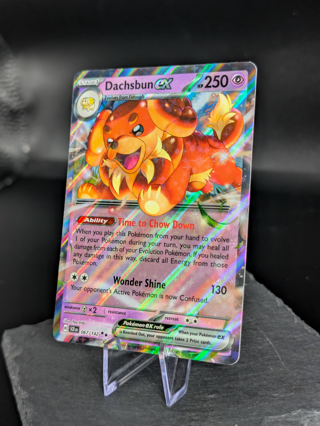 Dachsbuns ex 067/142 - English Stellar Crown (SCR)