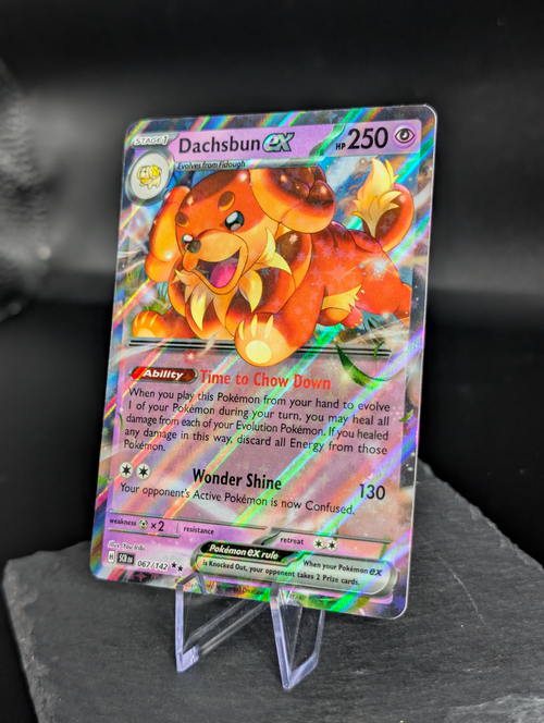 Dachsbuns ex 067/142 - English Stellar Crown (SCR)