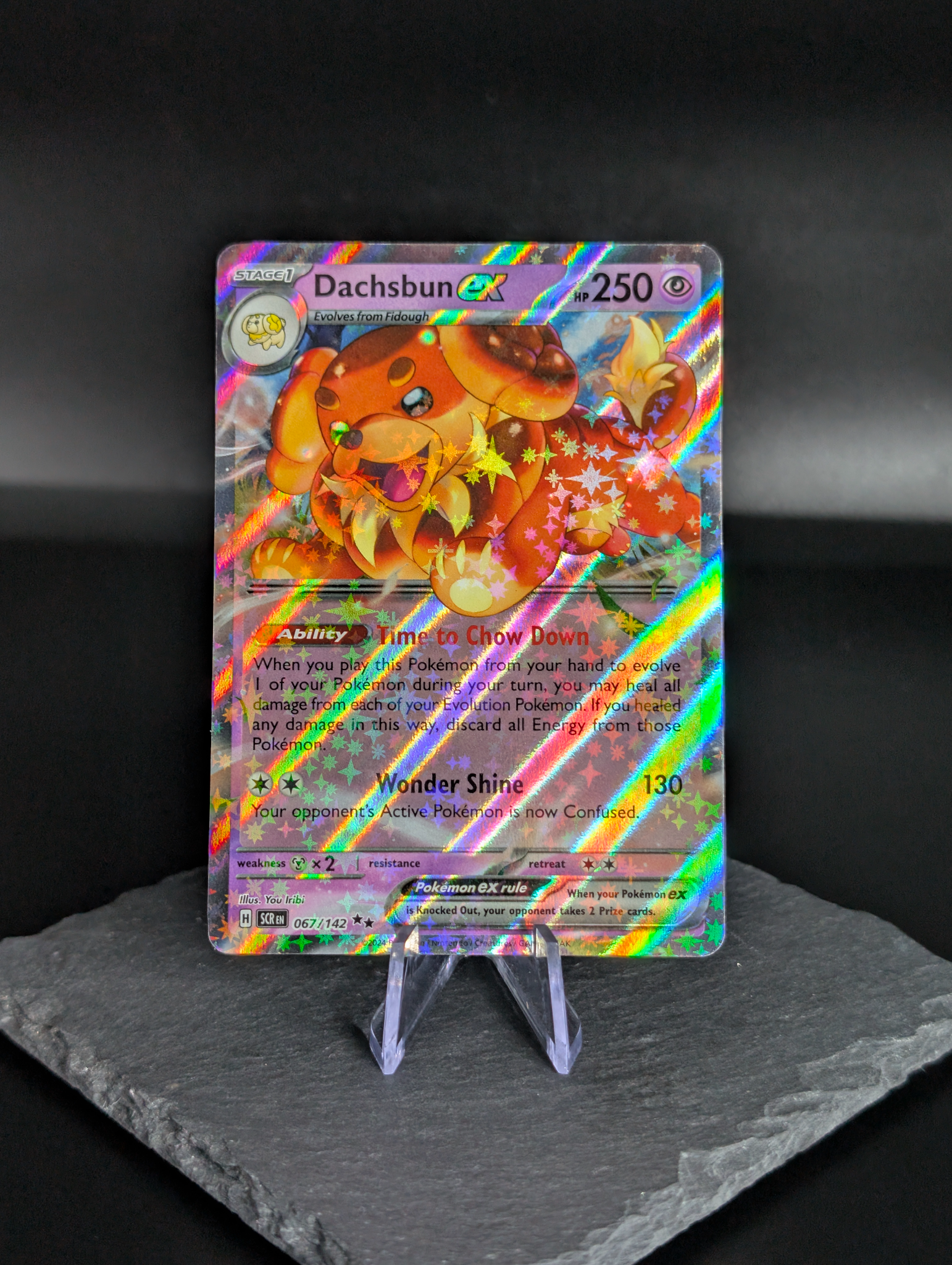 Dachsbuns ex 067/142 - English Stellar Crown (SCR)