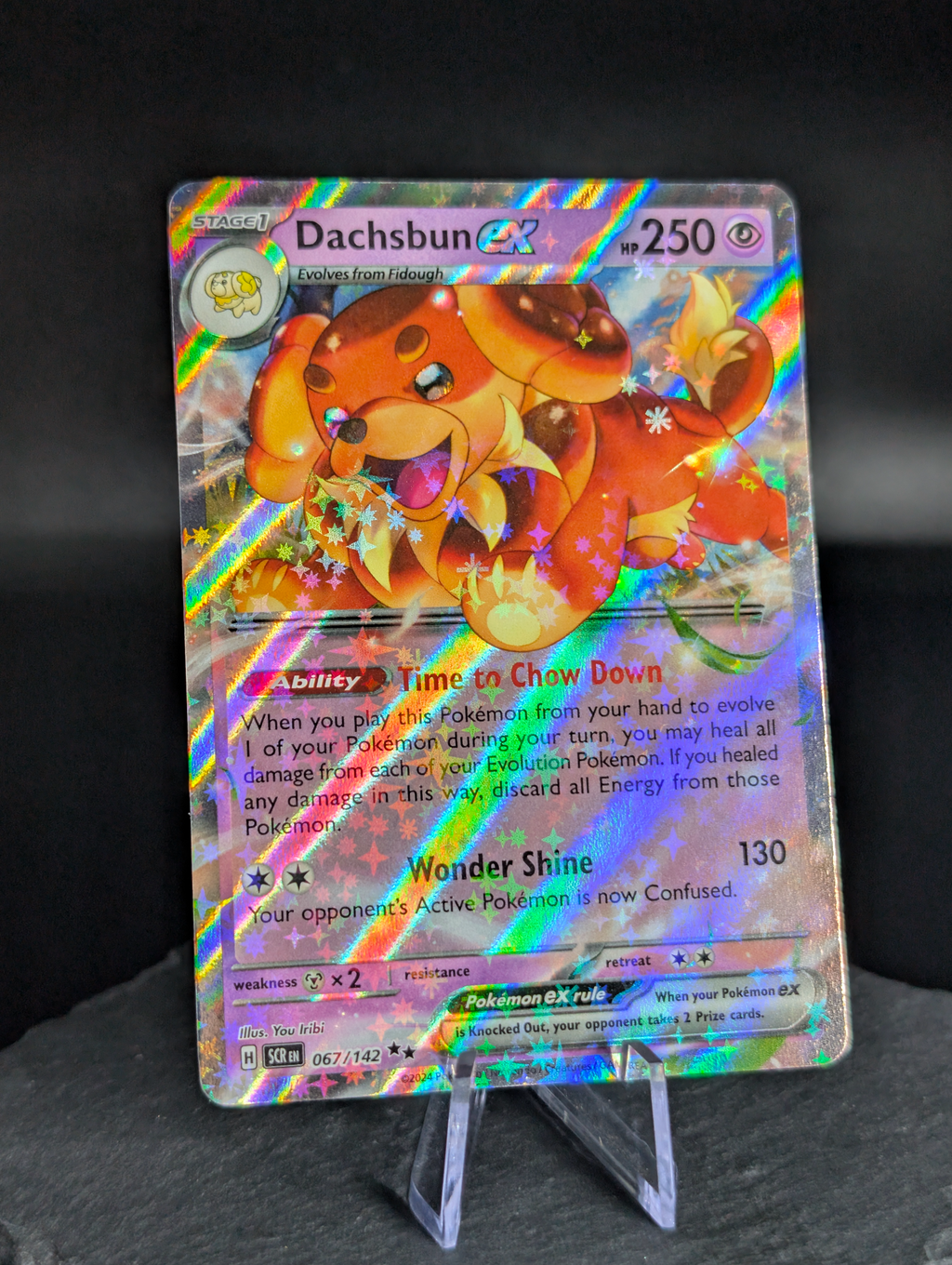 Dachsbuns ex 067/142 - English Stellar Crown (SCR)